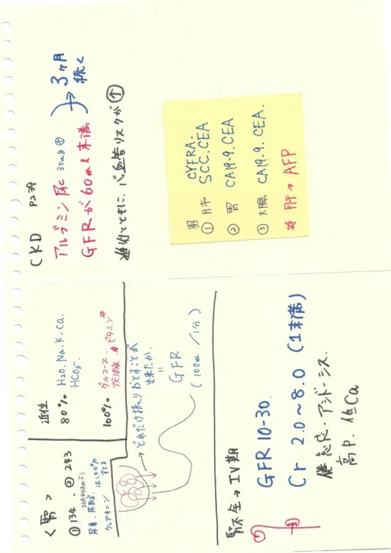 腎機能・CKDのまとめノートの実物。基準値と病態を手書きで整理したページ